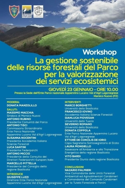 Domani a Marsico Nuovo il Workshop “La Gestione sostenibile delle risorse forestali del Parco per la valorizzazione dei sistemi ecosistemici”