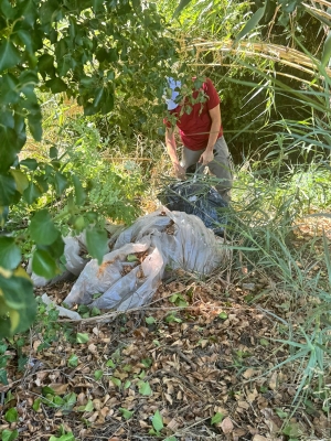 Città di Policoro - Iniziativa pulizia Bosco Pantano