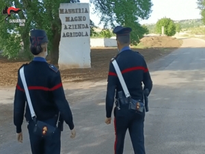 Andria. Confisca definitiva di beni per 80 milioni di euro eseguito dai Carabinieri.