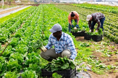 Centro Palazzo e accoglienza immigrati: Cia-agricoltori