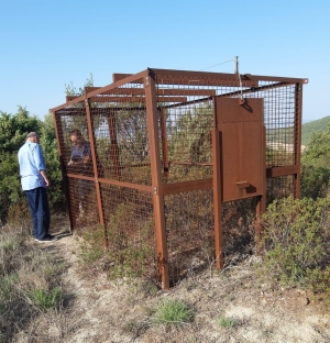 Avviate le operazioni di installazione delle gabbie per la cattura dei cinghiali nel Parco della Murgia Materana