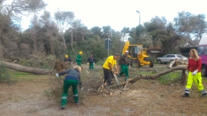 Ferrone (Pd): da lunedì 6 partono i cantieri forestali, vigileremo su condizioni di lavoro per 2415 operai e attività