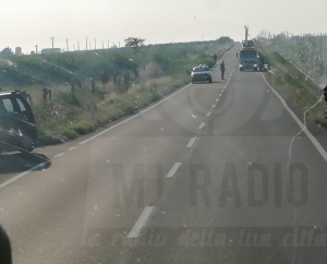 Incidente lungo la Sp Scanzano - Montalbano